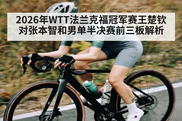 2026年WTT法兰克福冠军赛王楚钦对张本智和男单半决赛前三板解析